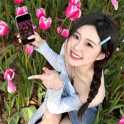 山菊花