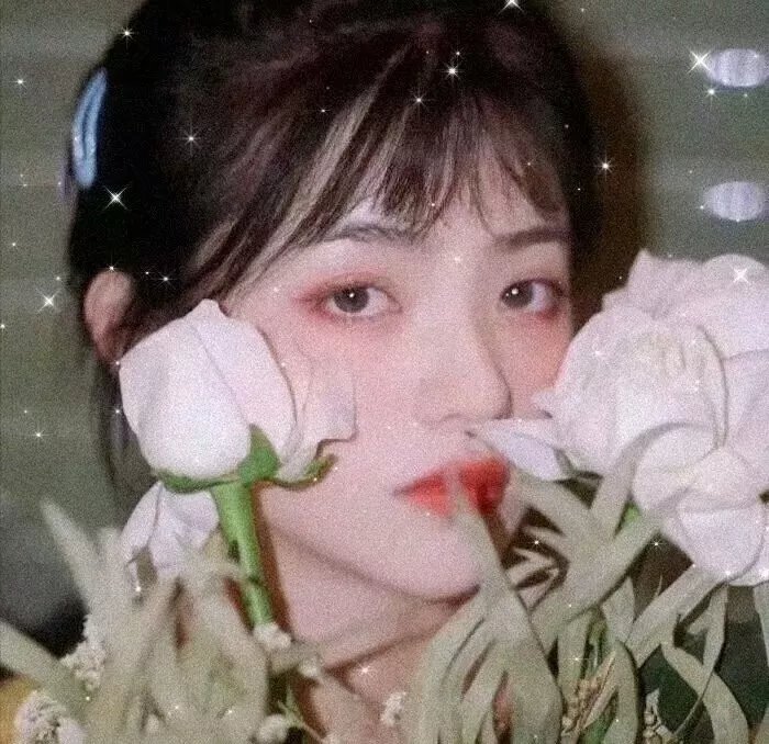 聪明的鸭子