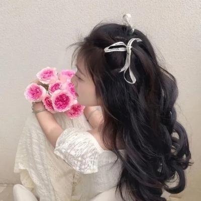 我的情敌女婿